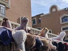 -新疆国际大巴扎