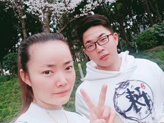 -嘉定紫藤园