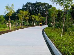 -中山市树木园