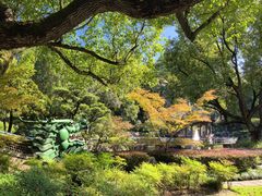 -申粤轩酒楼·三十年粤菜经典(丁香花园店)