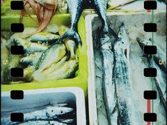 -青石桥市场北1-27号