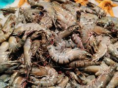 -苏格里岛自助海鲜烤肉(青秀万达店)