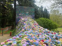 -上海共青森林公园