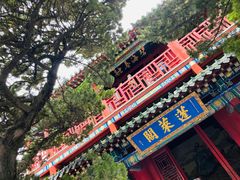 -蓬莱阁景区