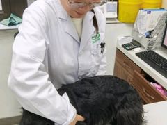 -心仪动物医院·牙专科·肿瘤·心脏科(西客站院)