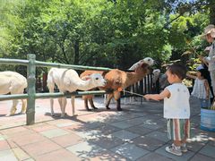 -贵州森林野生动物园