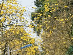 -人民公园(罗湖区)