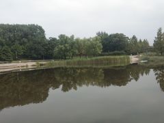 -大望京公园