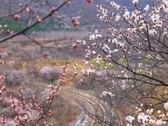 -居庸关长城