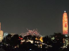 -莲花山公园