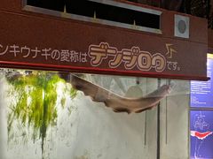 -鹿儿岛水族馆