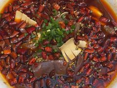 -院8里·少城记忆老川菜(宽窄巷子店)