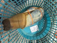 -德兴show鲜·蒸汽海鲜火锅餐厅(格创悦里店)