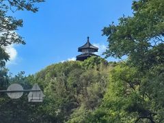 -上海佘山国家森林公园天马山园