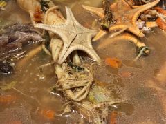 -千岛蚝高压锅生蚝·人参火锅(白云万达店)