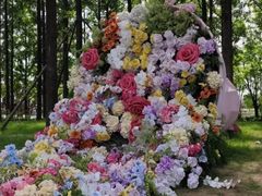 -杭州湾海上花田景区
