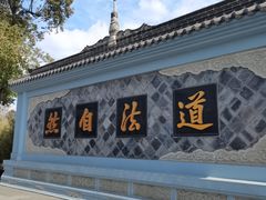 -青羊宫