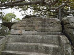 -麦考利夫人座椅