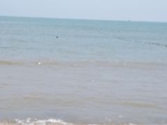 -浪琴湾度假村