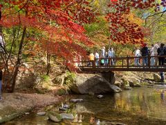 -本溪老边沟风景区