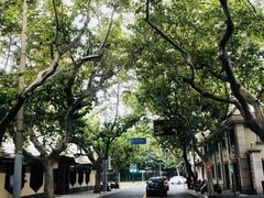 -玫瑰厅上海菜(兴国路店)