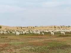 -亿利库布其七星湖沙漠生态旅游区