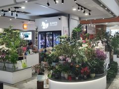 -巴黎春天(浦建店)