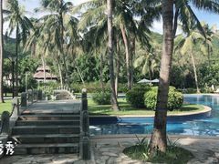 -三亚亚龙湾金棕榈度假酒店