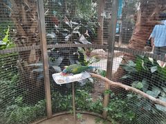 -大连森林动物园