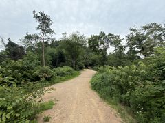 -青龙山国家森林公园