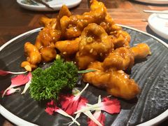 -前海沿·青岛菜(大拇指广场石老人店)