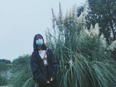 -月湖风景区