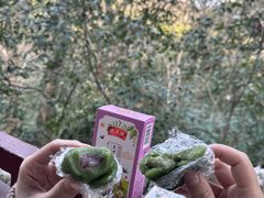 -沈大成(城隍庙店)