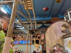 -卡通尼·Safari非洲探索乐园·生日会(金桥国际商业广场店)