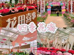 -盈香心动乐园