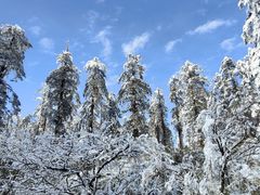 -瓦屋山景区
