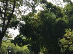 -晓港公园
