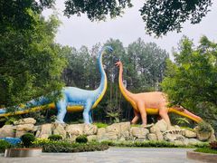 -森波拉奇妙世界