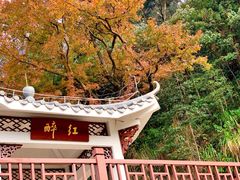 -广州市石门国家森林公园