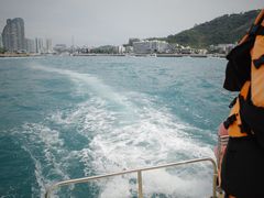 -小猫钓鱼海钓俱乐部(椰梦长廊店)