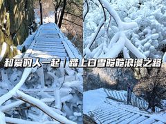 -尧山风景区