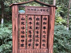 -杭州半山国家森林公园