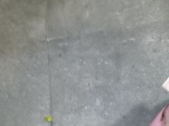 -茶油香闽南菜·花园餐厅(前埔店)