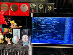 -翠府(翠湖北路店)