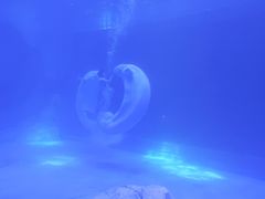 -上海海昌海洋公园-冰山北极馆