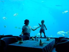 -瑞德姆美人鱼海底演艺主题餐厅(亚龙湾店)