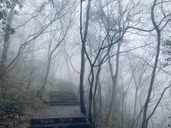 -紫金山山顶公园