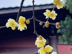-钱王祠