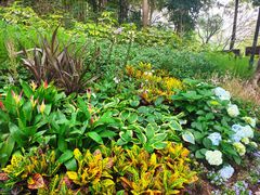 -深圳国际园林花卉博览园