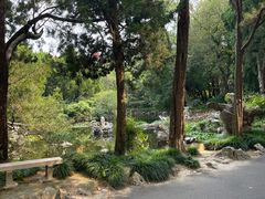 -叶家花园